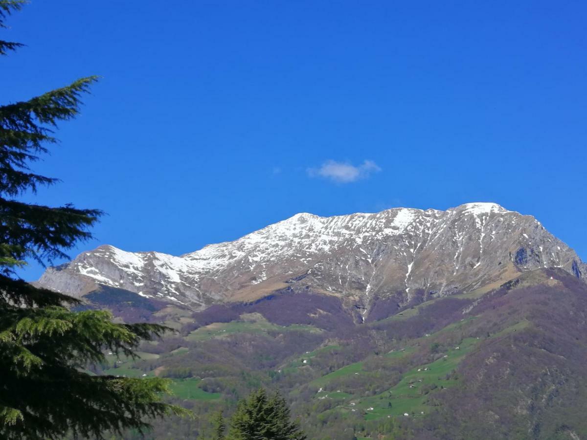 Stella Delle Grigne Daire Pasturo Dış mekan fotoğraf